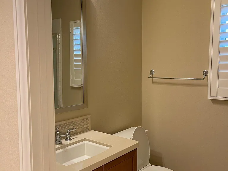 Downstairs Bath with Shower