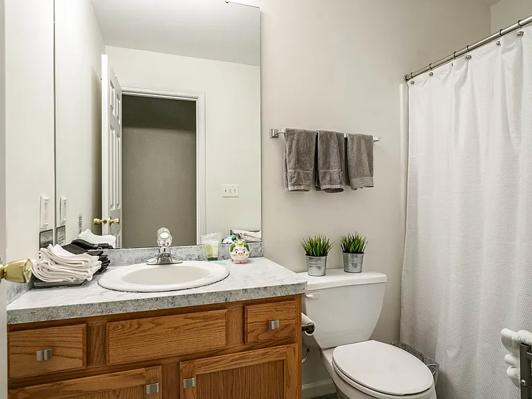 53150 Holly Fern Ct — Photo 8