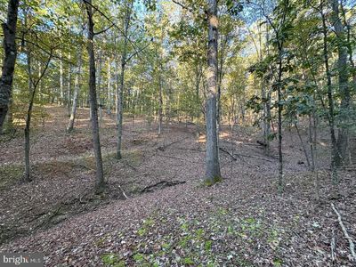 7313 Little Cacapon Rd, Three Churches, WV, 26757