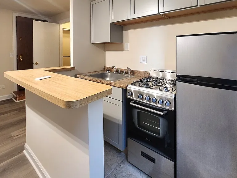 1504 N Dearborn Pkwy, Chicago, IL — Photo 46