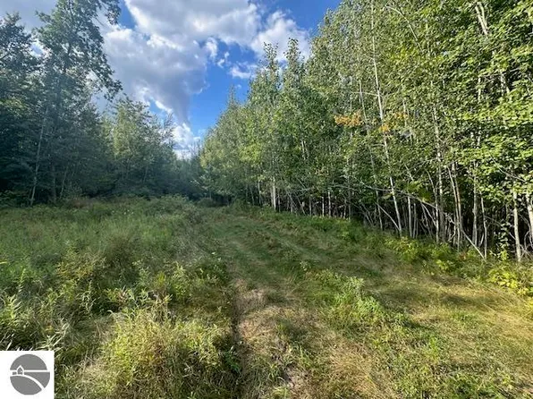 8500 W Wiley Rd, Weidman, MI 48893