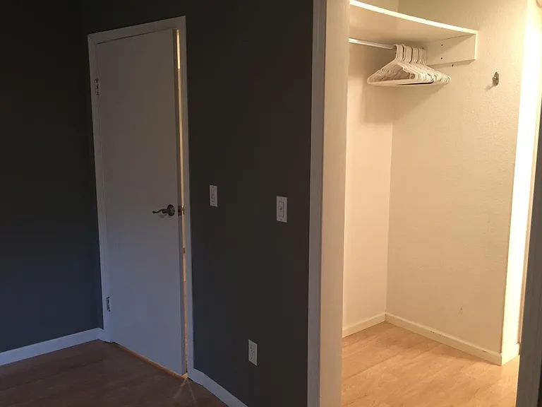 Master Bedroom Closet & Door