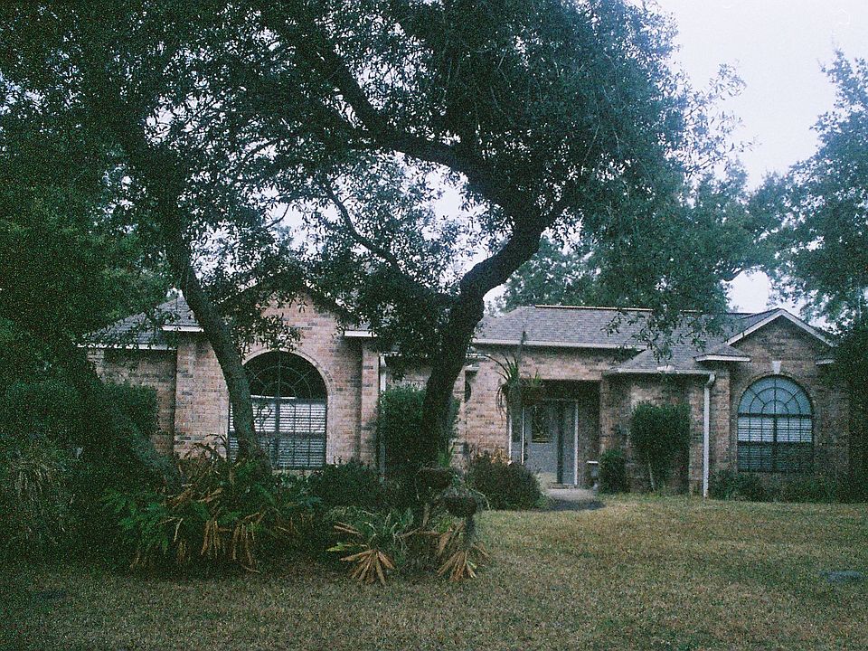 Live Oak Trees