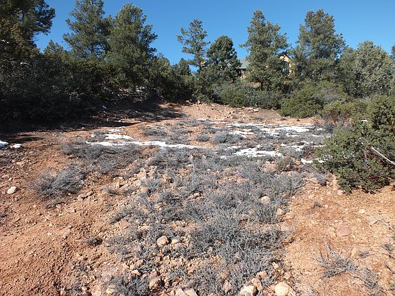 2nd image of 902 N Blazing Star Cir