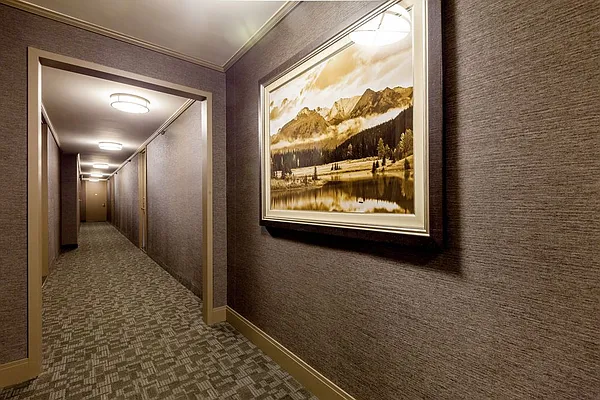 Rented by Mirador Real Estate | media 62