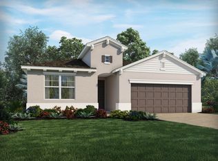 11808 Clare Hill Ave, Riverview, FL 33579