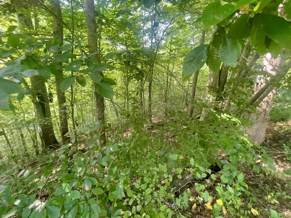 550 Left Fork Maces Creek Rd, Viper, KY 41774