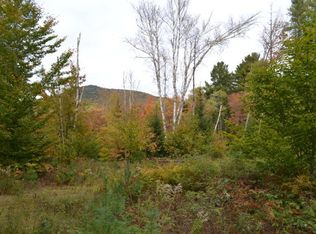 819 McKenzie Pond Rd, Saranac Lake, NY 12983