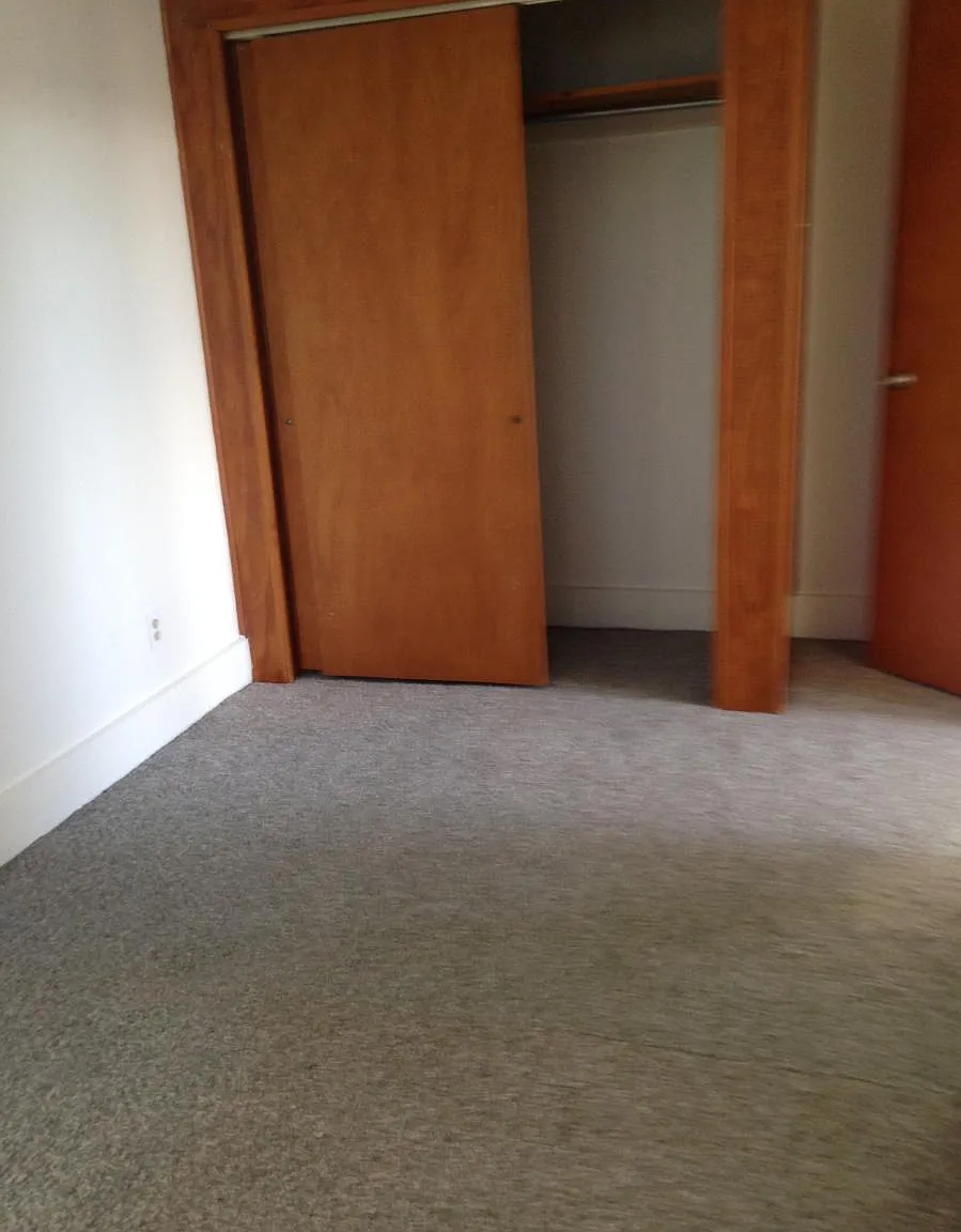 1005 Elmwood Avenue — Photo 3