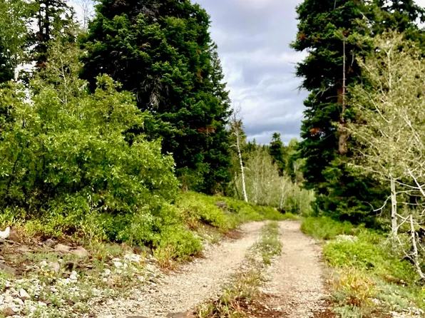 1049-C-HV N Kolob Terrace Rd, Virgin, UT 84779