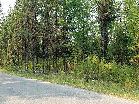 5th image of 960 Lodgepole Dr