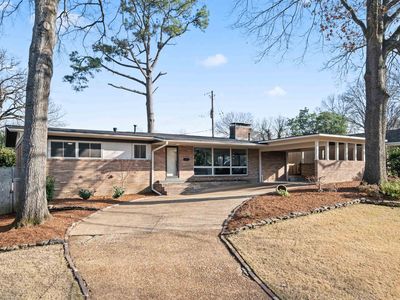 320 Belhaven St, Memphis, TN, 38117