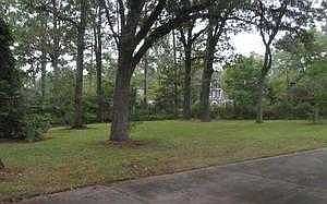 back yard