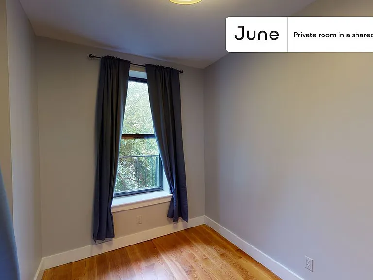 679 Halsey St #B — Photo 6