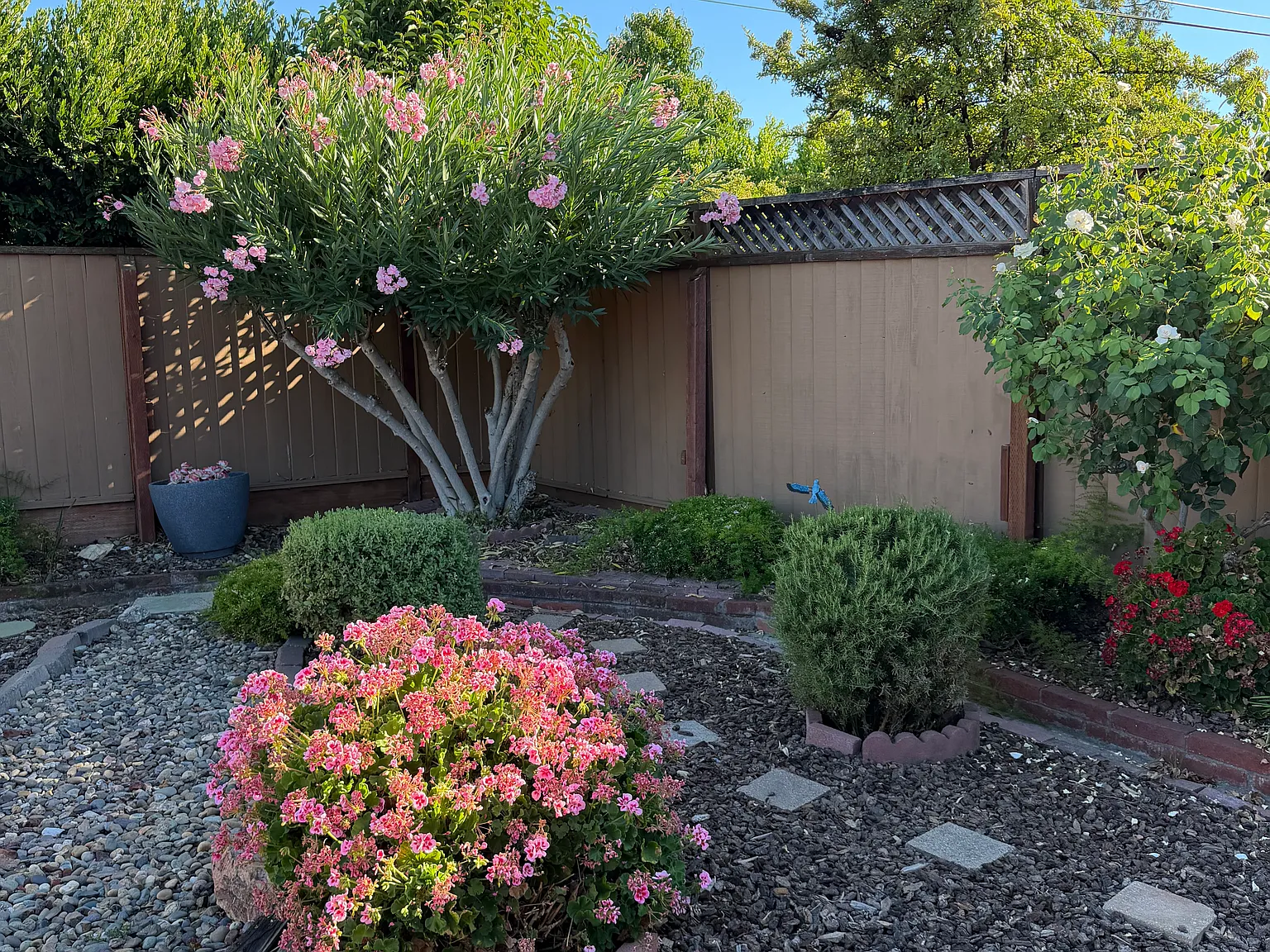 3 bed, 1248 sqft, $4,200 — Photo 2