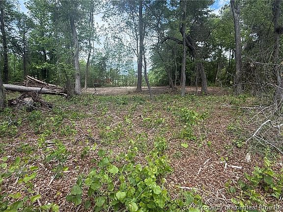 3rd image of McDougald Rd