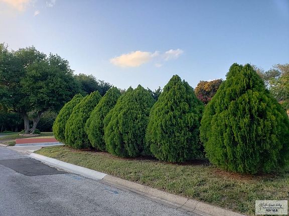 4th image of 1115 Camwood Pl