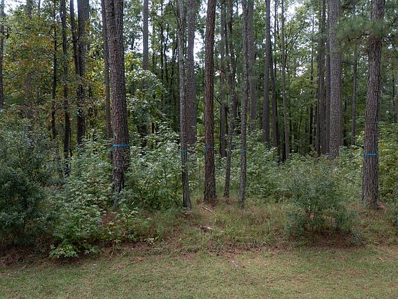 3rd image of 1811 Garners Ferry #31