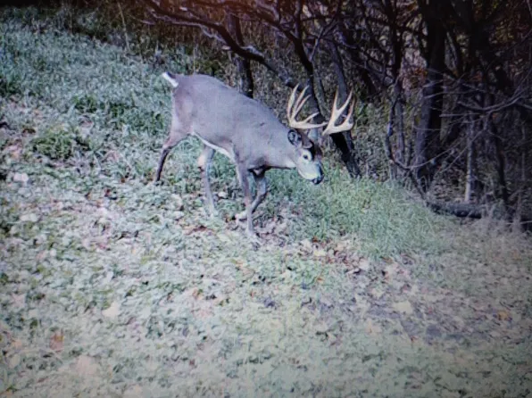 4400 North Deer Lane, Mosinee, WI 54455