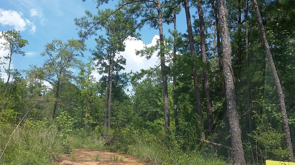 0 Moore Cir, Abbeville, AL 36310 MLS 192332 Zillow