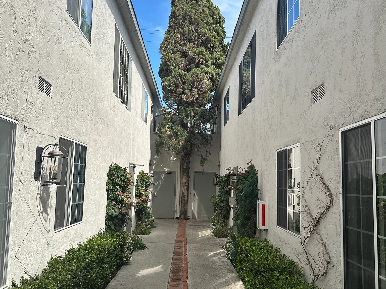 2 bed, 1.5 bath, 793 sqft, $3,500 — Photo 4