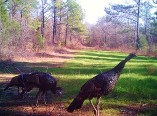 Flynn Rd, Fayette, AL 35555