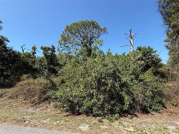 2nd image of Roanoke Rd Lot 9466