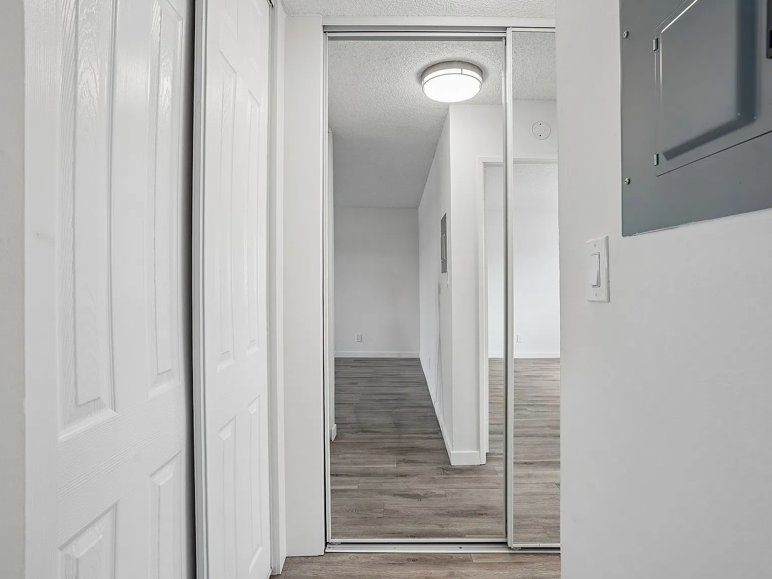 Clearwater Apartments — Photo 4