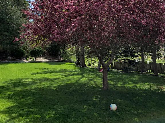 Another view of the backyard during spring/summer.