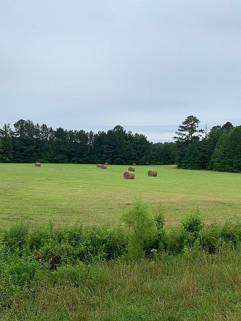 2nd image of 5967 Highway 43 S