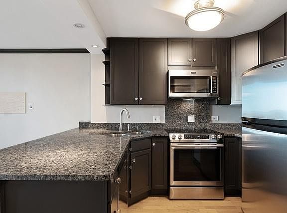 5th image of 442 N McClurg Ct #613S