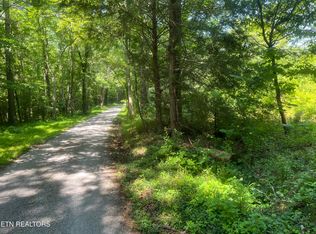 Blizzard Mine Rd, Harriman, TN 37748