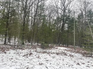 PARCEL Pineway Path #F, Indian River, MI 49749