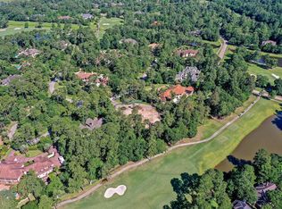 46 Palmer Crst, Spring, TX 77381