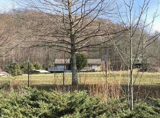 100 Meadow Springs Ct, Flag Pond, TN 37657