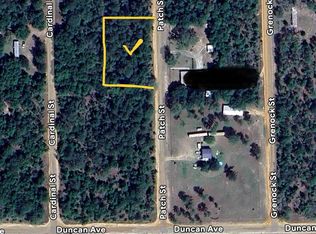 Patch St LOT 28, Interlachen, FL 32148