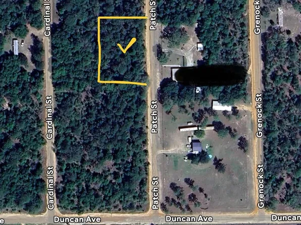 Patch St Lot 28, Interlachen, FL 32148