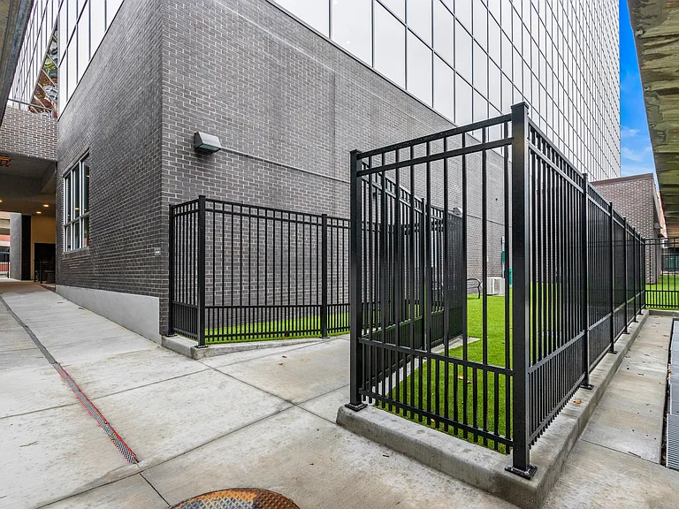 Dog Park