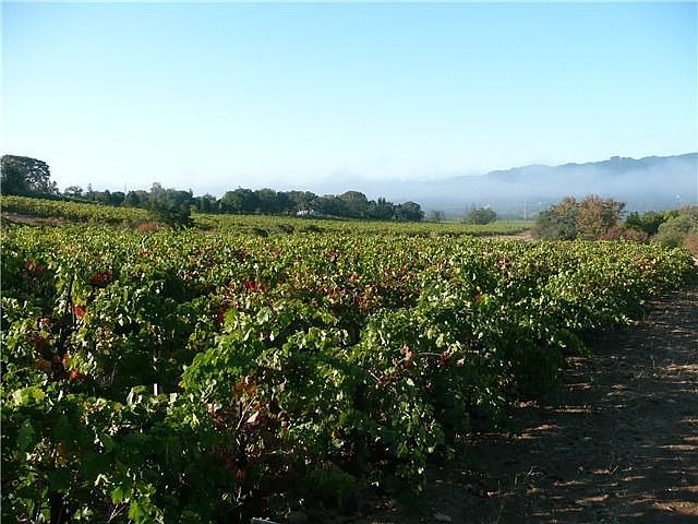 1st image of 15401 Sonoma Hwy