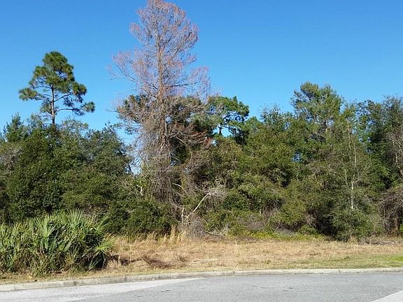 4th image of Courtland Blvd