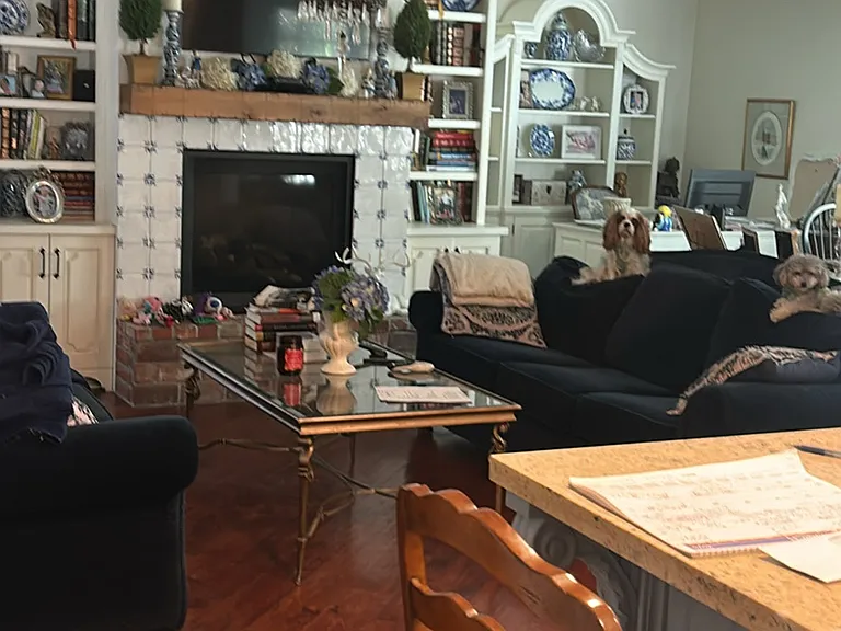3530 Damien Ave — Photo 4