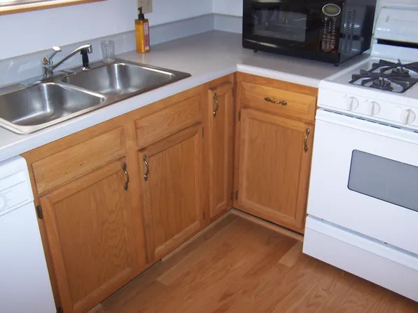 6797 Maplewood Rd, Indian River, MI 49749