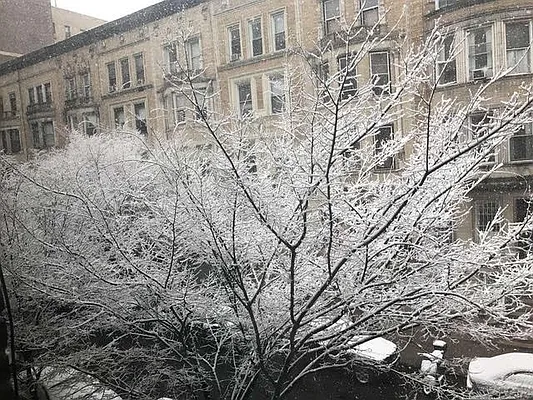 Sold by Luxe Group | media 19