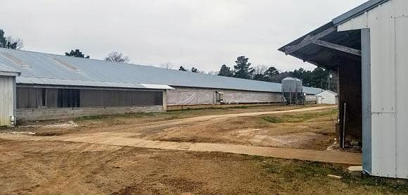 2nd image of 1338 County Road 4088