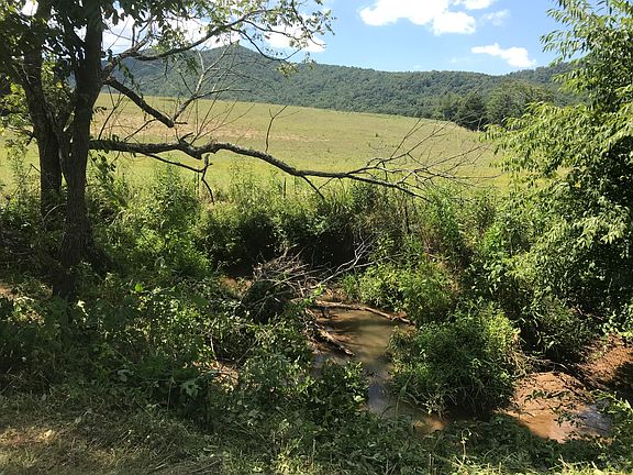 Stream in backyard.