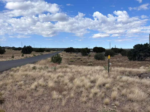 155 Cinder Dr, Concho, AZ 85924