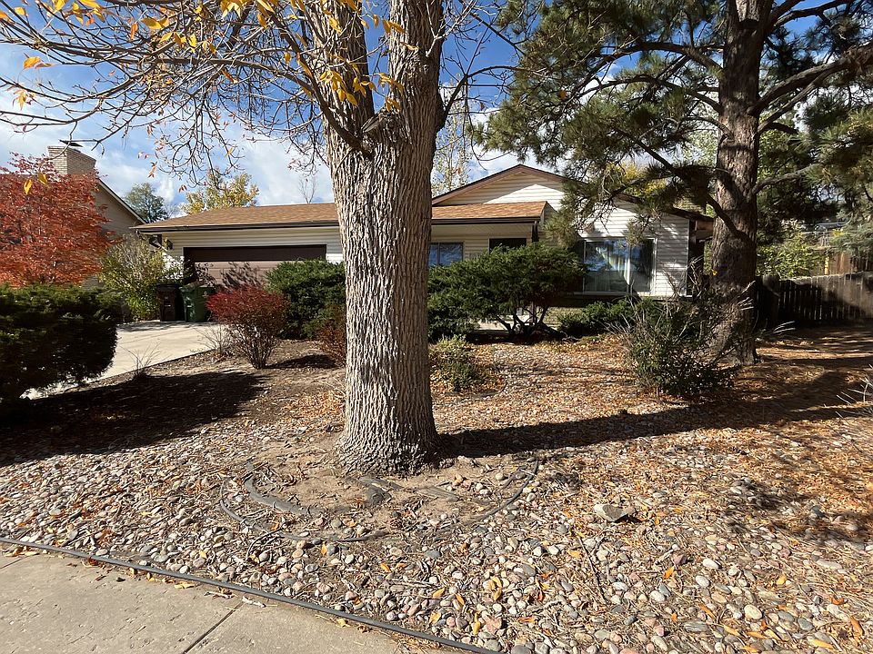 4620_debonair_03132023