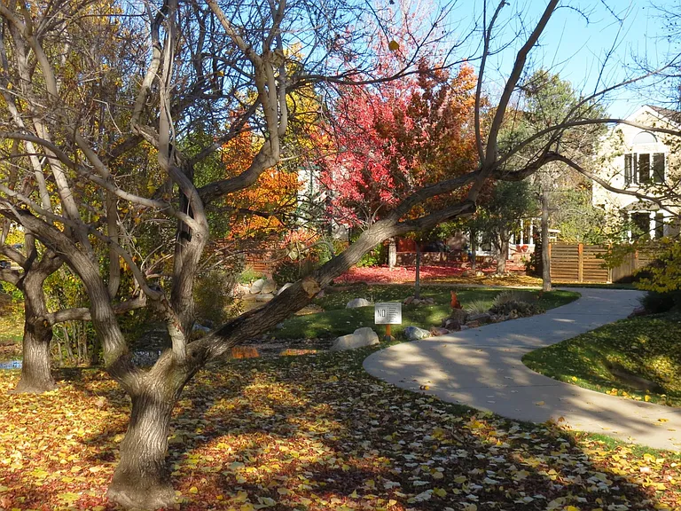 Path behind the building with a small creek and picnic table for all fresco dining.
