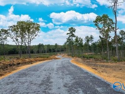 TRACT Twelve County Rd #9114, Mentone, AL, 35984