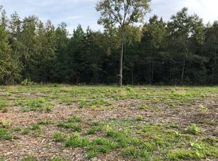 9502 Locust Rd, Big Sandy, TX 75755